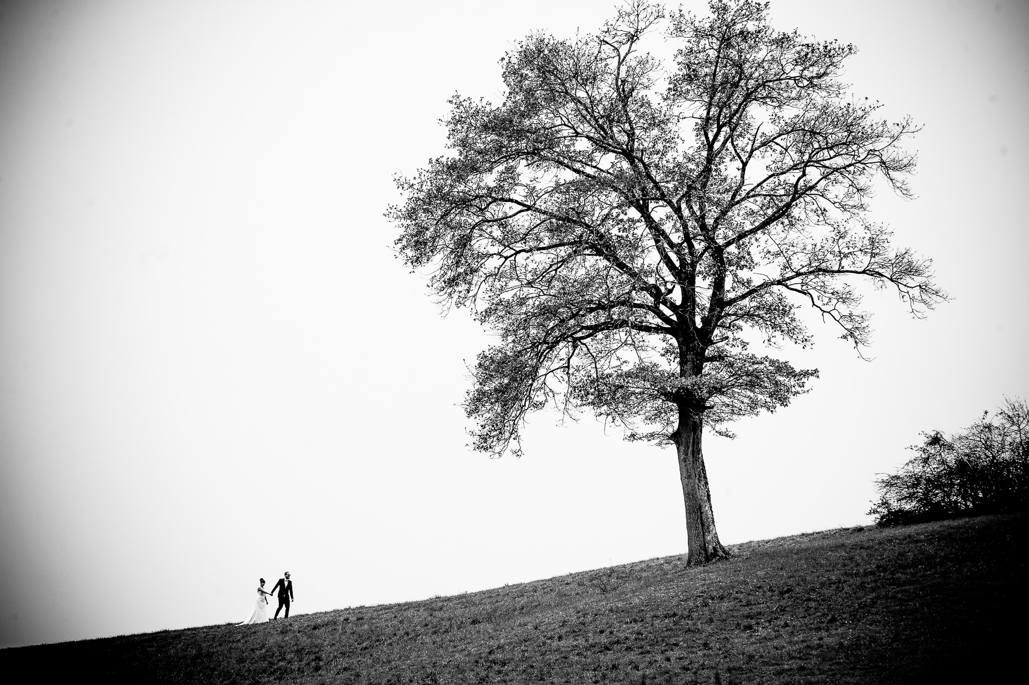 Export x3 1DX26871 Hochzeit 2017 Steffy & Robin